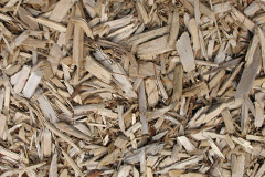 biomass boilers Pulverbatch
